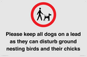 please-keep-all-dogs-on-a-lead-as-they-can-disturb-ground-nesting-birds-and-thei~